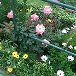 Cueva Sasha Kır Evi San Miguel de Abona