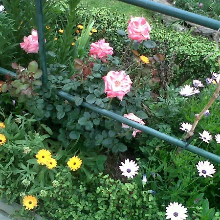 Cueva Sasha カントリーハウス サンミゲル・デ・アボナ