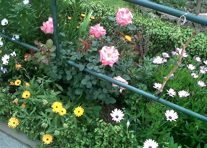 Cueva Sasha Lantställe San Miguel de Abona